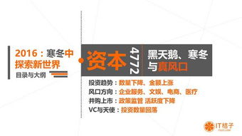 一文讀懂2016年中國互聯(lián)網(wǎng)創(chuàng)業(yè)與投資 風(fēng)口、資本與拐點(diǎn)